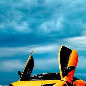 Meet your Posher, Gavin